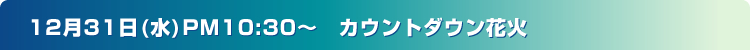 �J�E���g�_�E���ԉ�