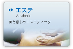 �G�X�e