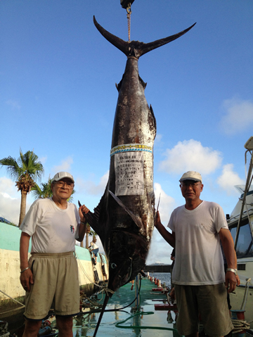116キロの白カジキ。3ｍ08cm。
