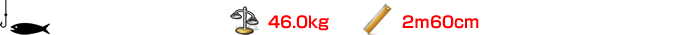 マカジキ