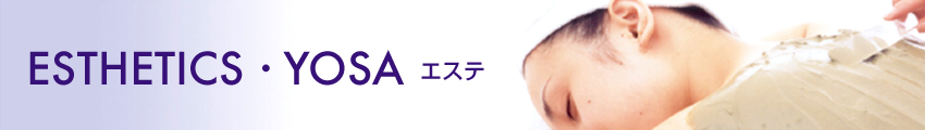 �G�X�e